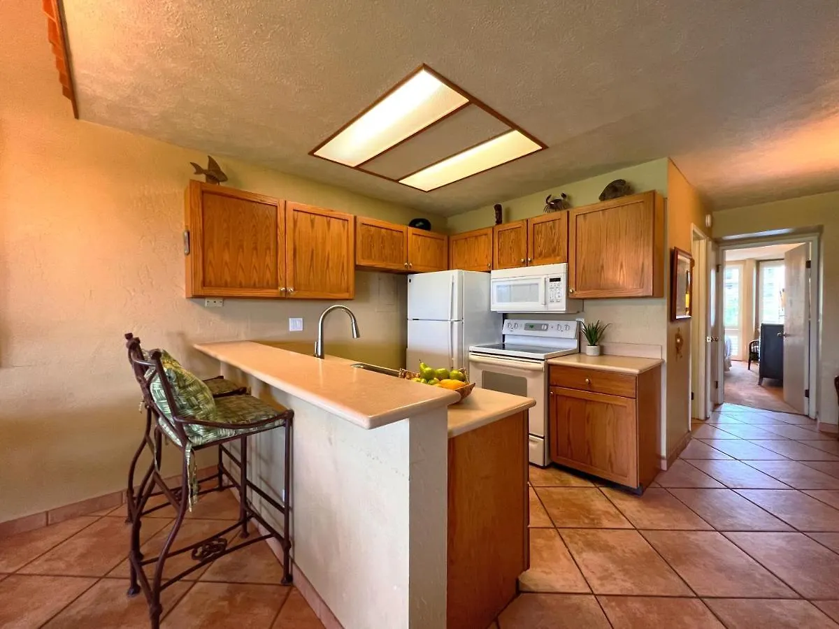 Holiday home Hale Kamaole 221 Villa Wailea