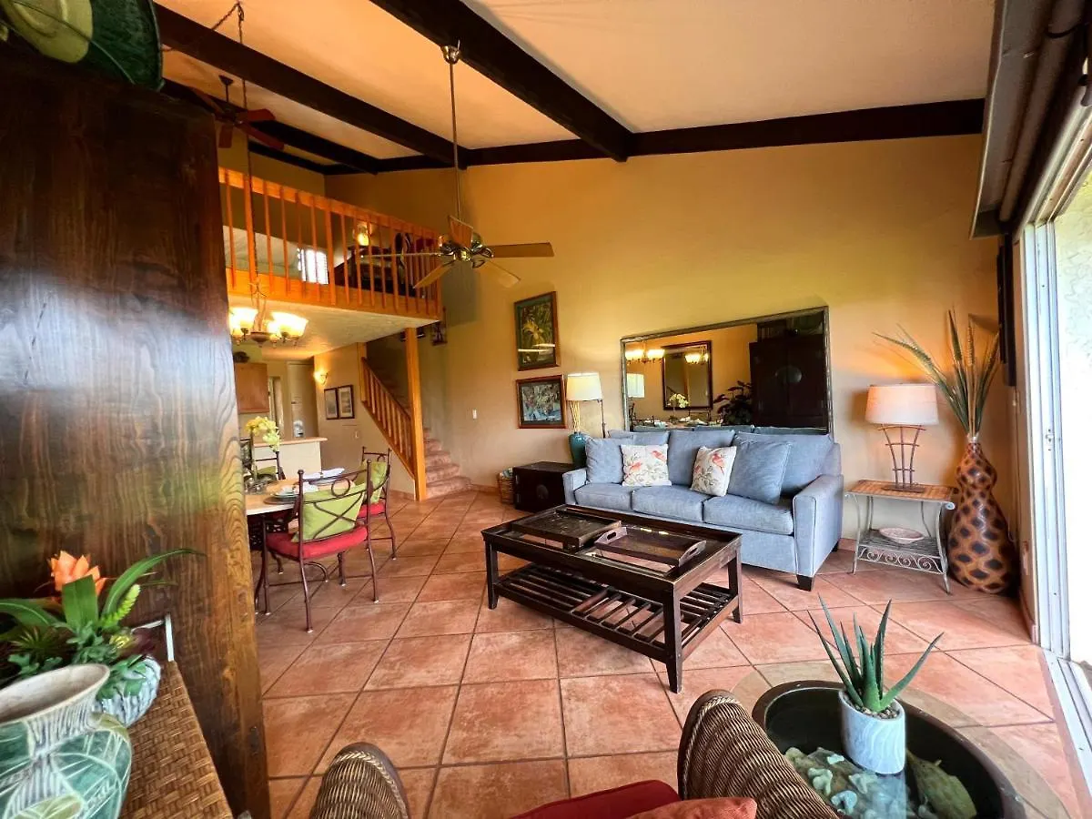 Holiday home Hale Kamaole 221 Villa Wailea